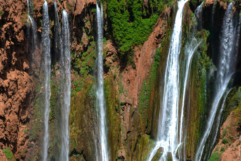 من مراكش: رحلة يومية إلى شلالات أوزود مع جولة بالقاربرحلة اليوم الواحد المشتركة: جولة بصحبة مرشد سي