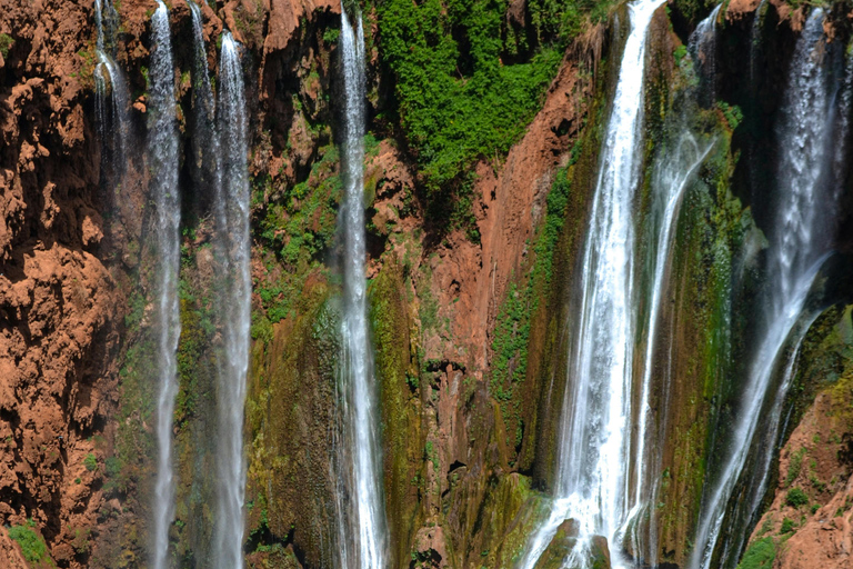 من مراكش: رحلة يومية إلى شلالات أوزود مع جولة بالقاربرحلة اليوم الواحد المشتركة: جولة بصحبة مرشد سي