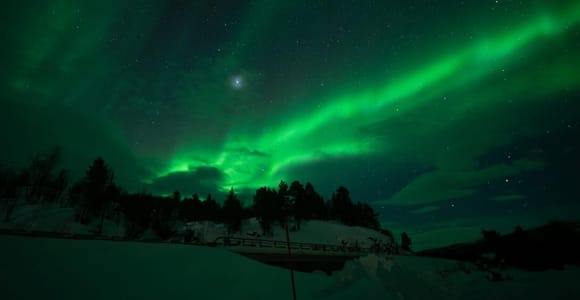 Tromsø: Northern Lights Chase with Snacks and Photos