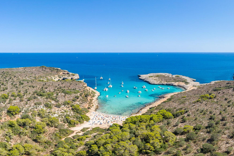 Mallorca: Glass Bottom Boat Excursion - Caves & Unspoiled Coves From Sa Coma: Morning Tour