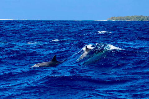 Grand Baie: Northern Isles Catamaran & Tropical BBQ