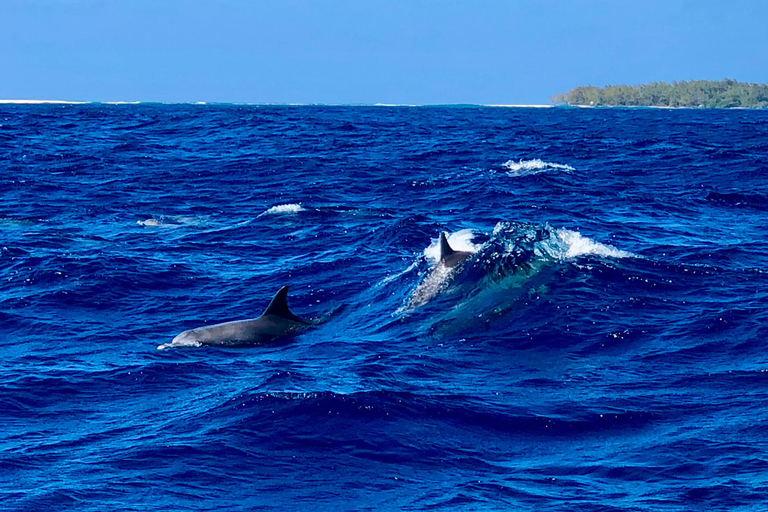 Grand Baie: Northern Isles Catamaran & Tropical BBQ