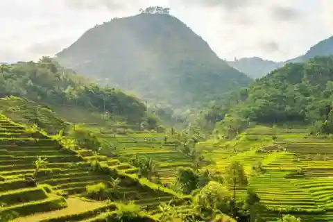 YOGYAKARTA; EXPLORE SELOGRIYO RICE FIELDS & MENDUT TEMPLE.