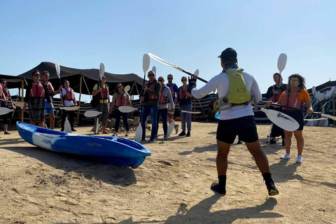 Al Khor: Kajakpaddling i mangroveskogen