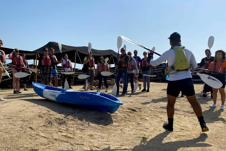 Al Khor: Kajakpaddling i mangroveskogen