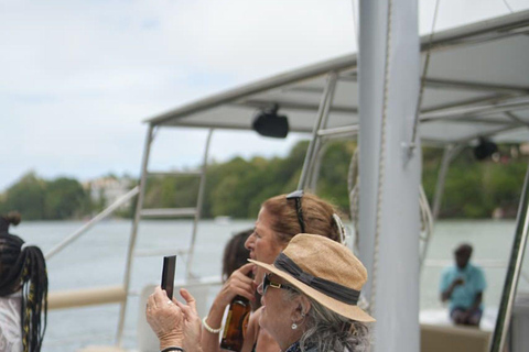 Catamaran Cruise to Ile aux Cerfs & GRSE Waterfall