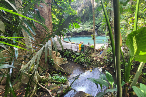 Hidden Valley Springs | Lunch | Taal Volcano Viewing (2in1)