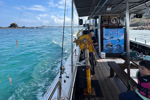 Chagwido Boat Fishing, Dolphin Watching with Local Lunch
