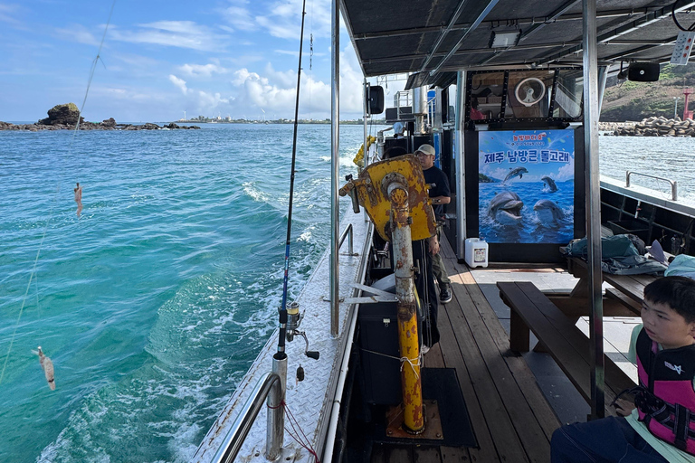 Chagwido Boat Fishing, Dolphin Watching with Local Lunch