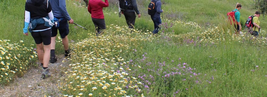 Karpathos : randonnée guidée dans un village de montagne, déjeuner inclus