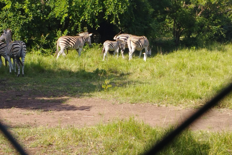 Ghana: 10-Day Guided Tour with Safari, Waterfall, and … Private Guided Tour in English