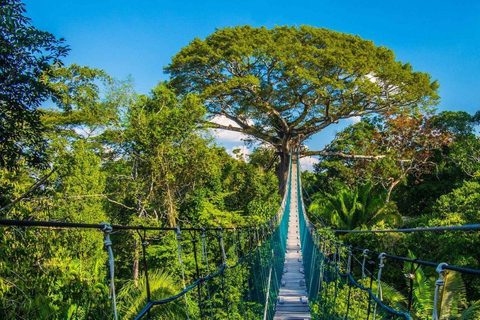 Puerto Maldonado: Zipline, Canopy, and Kayaking Adventure