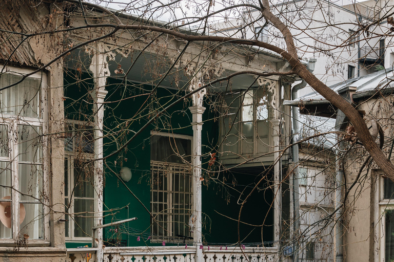 Tbilisi: Hidden Backyards Guided Tour Private Tour