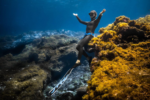 Puerto del Carmen, Lanzarote: Snorkeling Tour