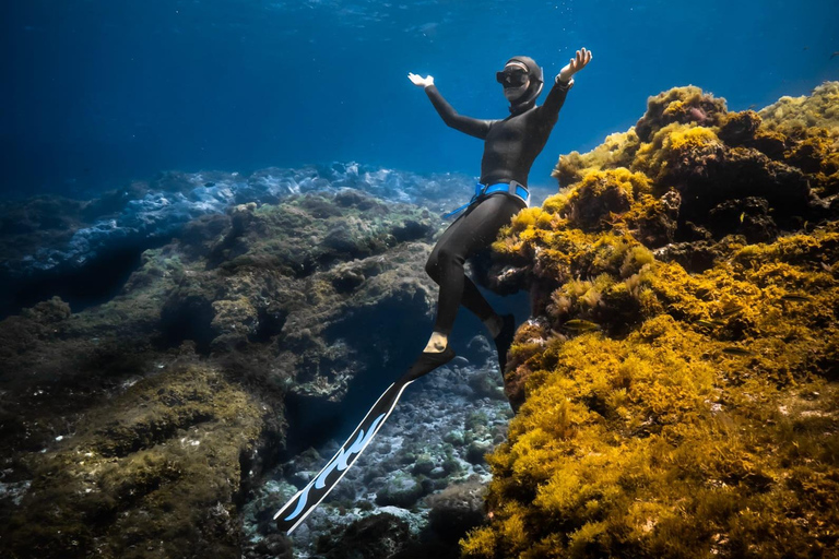 Puerto del Carmen, Lanzarote: Snorkeling Tour