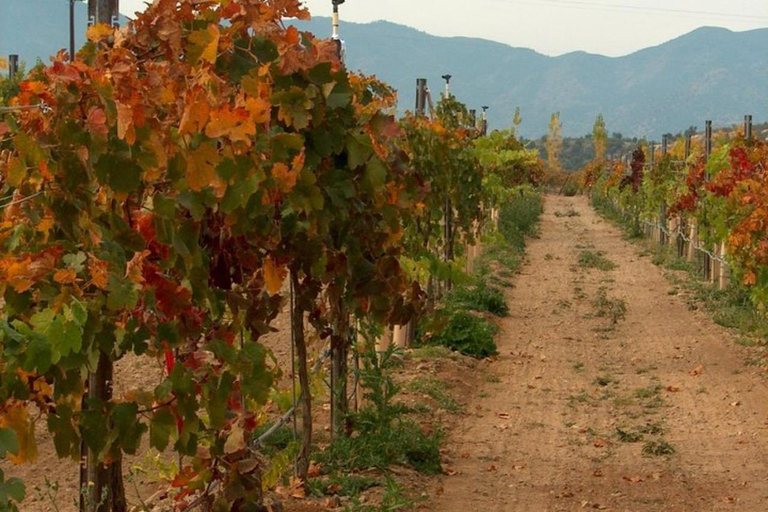 From Cottonwood: 2-Hour Water to Wine Kayak Tour