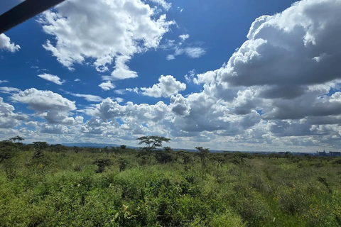 Nairobi National Park Luxury Picnic Game Drive