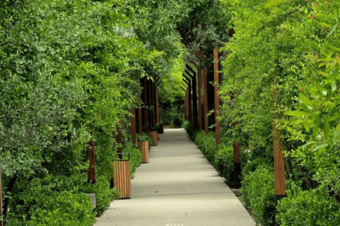 Discover the magnificent nature in Baku Central Botanical Garden Discover the Magnificent Nature in Baku Central Botanical Garden (Private tour)