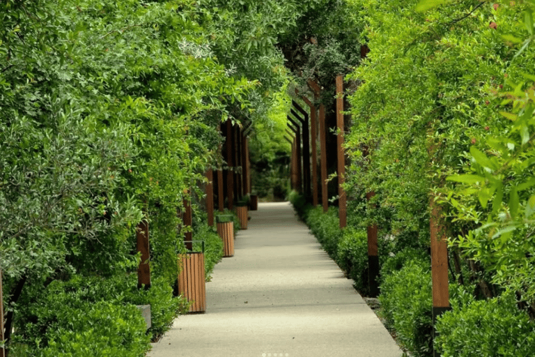 Discover the magnificent nature in Baku Central Botanical Garden Discover the Magnificent Nature at Baku Central Botanical Garden