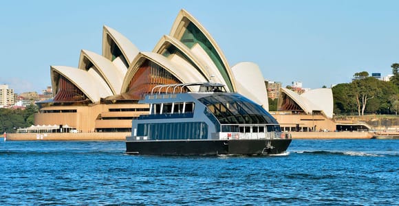 Sydney: Christmas Party Lunch Cruise with Buffet