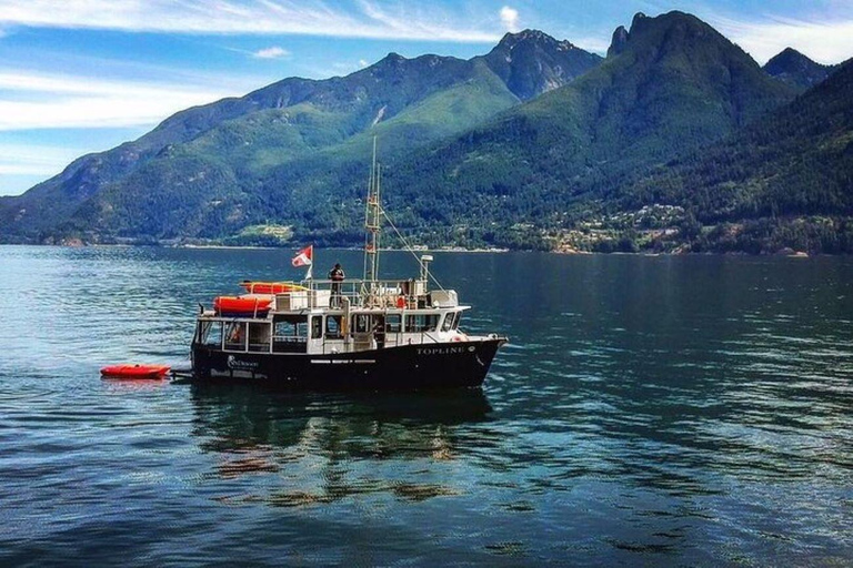 West Vancouver: Morning Kayak & Seal Cruise