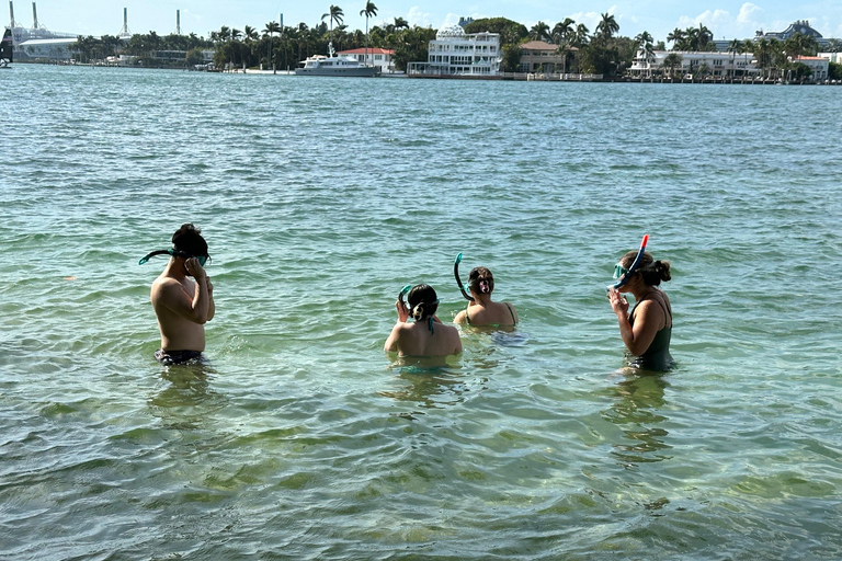 Key Largo: Marine Eco Tour with Swimming & Sandbar