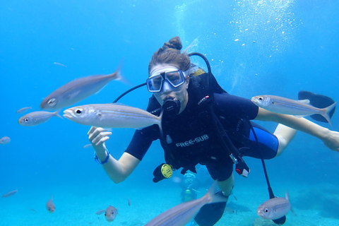 Alanya: PADI Discover Dive & Certified Training Options First Time Diving Option