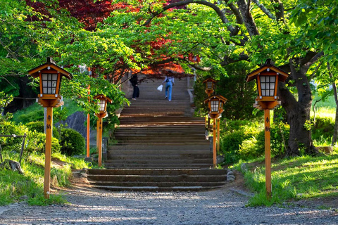 Wycieczka na górę Fuji: jezioro Kawaguchi, świątynia, wioska uzdrowiskowa i pagoda8:30 Wyjazd ze stacji Shinjuku — bez lunchu