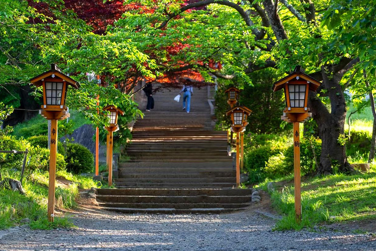 Wycieczka na górę Fuji: jezioro Kawaguchi, świątynia, wioska uzdrowiskowa i pagoda8:30 Wyjazd ze stacji Shinjuku — bez lunchu