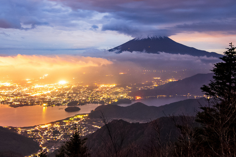 Tokyo: Private Mt. Fuji Luxury Day Tour – Fully Customizable Luxury Land Cruise Customizable Tour