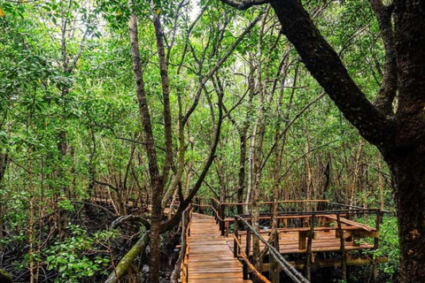 Zanzibar: Jozani Forest & Salaam Cave + Pickup & Entry fees Private Group: with Hotel Pickup from ALL HOTELS in Zanzibar