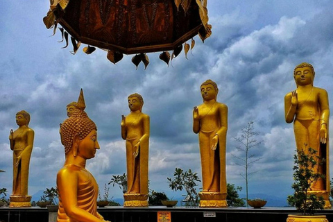 Kandy: Pinnawala, Ambuluwawa, and Village Tour