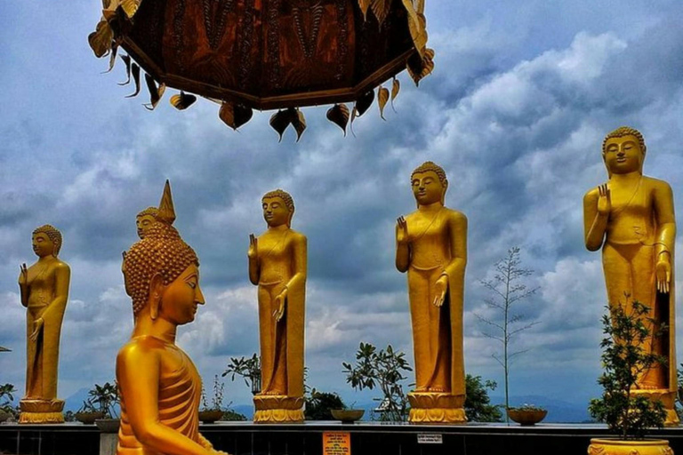 Kandy: Pinnawala, Ambuluwawa, and Village Tour