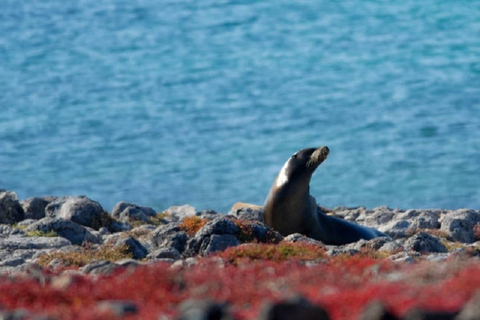 Affordable Galapagos 8 Days Tour