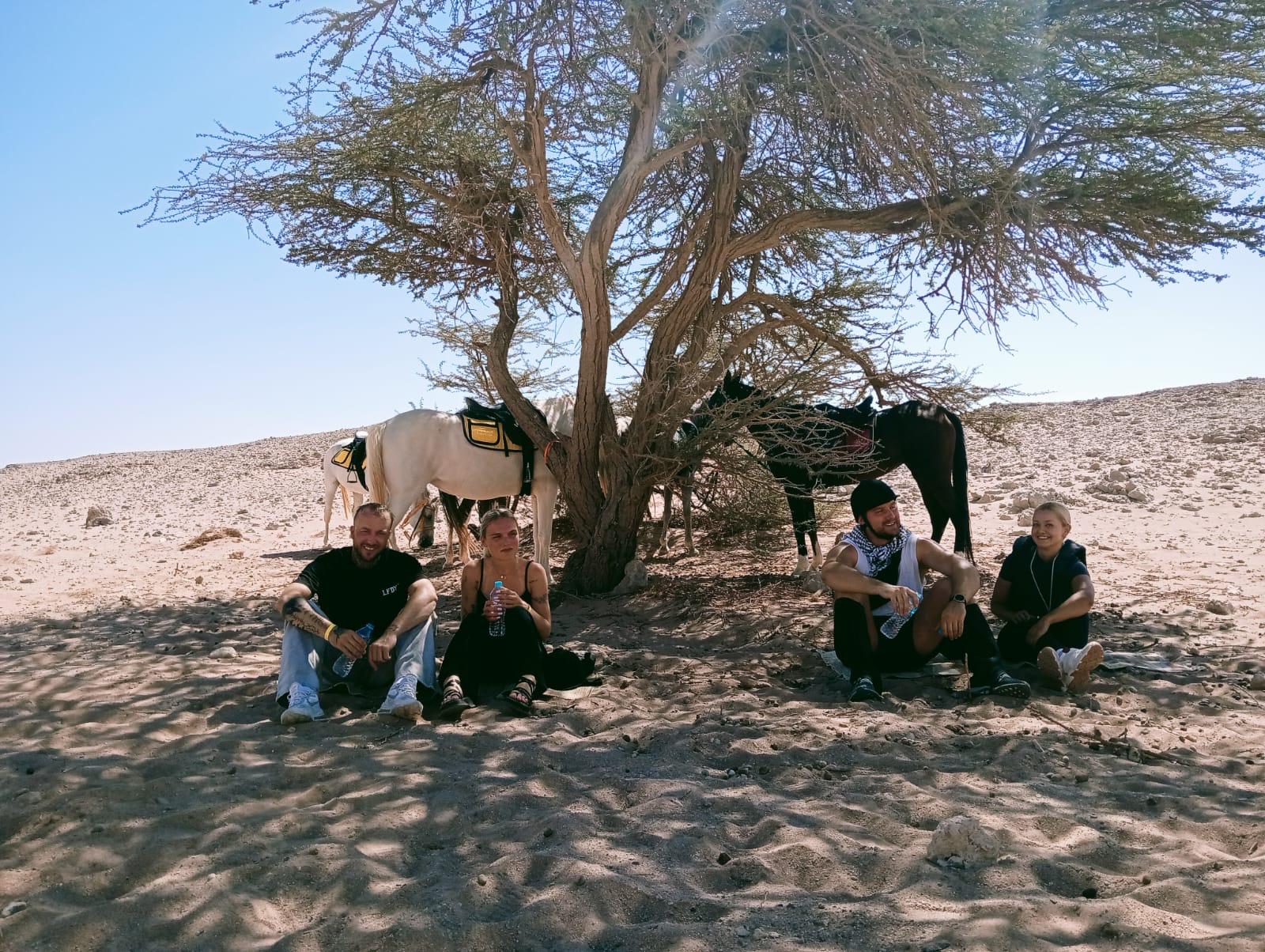 Hurghada: Sonnenuntergangs-Oasen-Safari mit Ausritt & Sternenbeobachtung