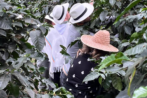 From Bogotá: Cerro Monserrate or Guadalupe and All-Inclusive Coffee Sightseeing Tour
