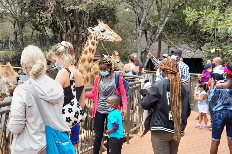 Halve dagtour door olifantenweeshuis en giraffencentrum