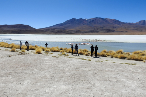 La Paz: 4-Day Death Road & Uyuni to San Pedro de Atacama
