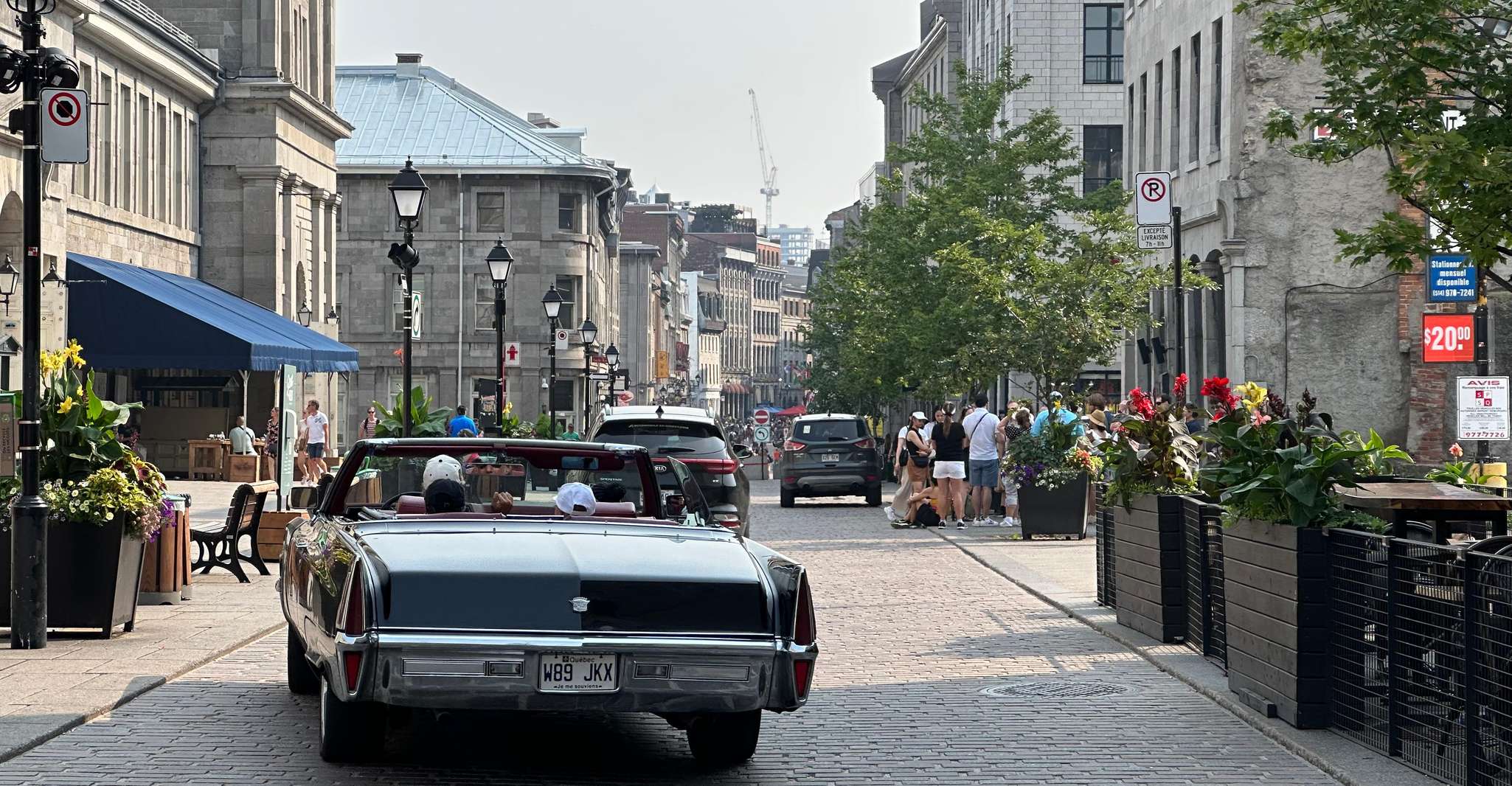 Montréal: Guided Tour in Vintage Convertible Cadillac photo 23