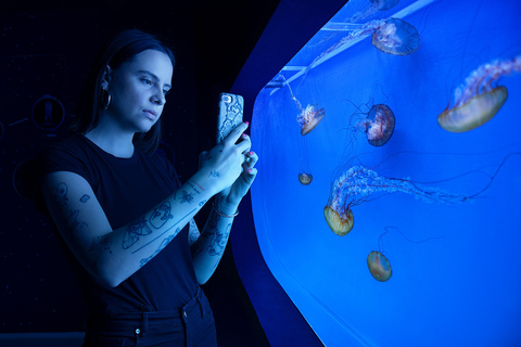 Prag: The World Of Jellyfish Ticket mit Getränk