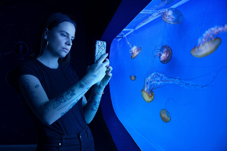 Prag: The World Of Jellyfish Ticket mit Getränk