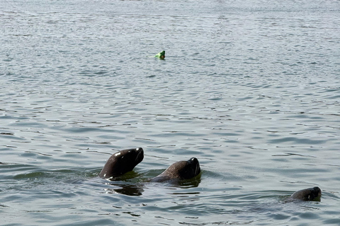 Ocean & Desert Journey: Ballestas, Vineyard & Huacachina