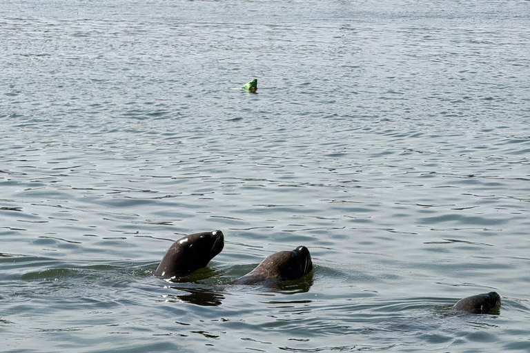 Ocean & Desert Journey: Ballestas, Vineyard & Huacachina