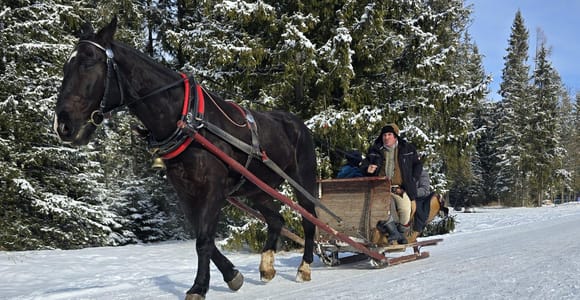 Zakopane: Private Sleigh Ride in Chochołowska Valley with a Bonfire