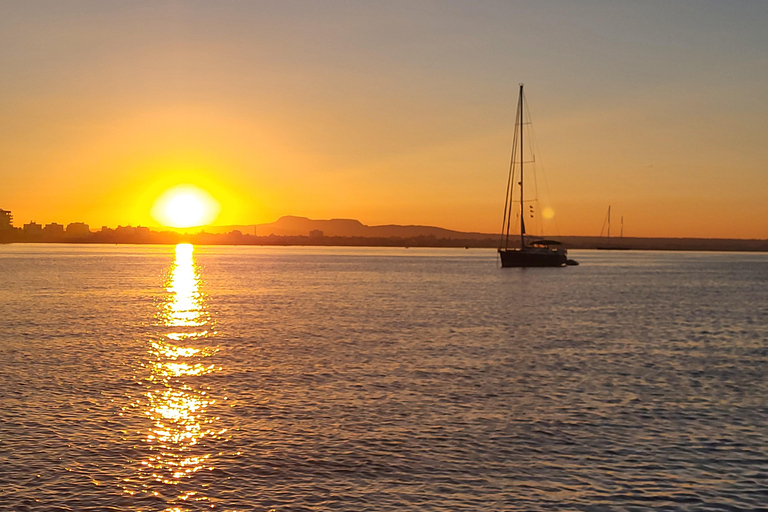 De Palma: Passeio de grupo em catamarã de luxo com tapas e bebidas4 horas de duração