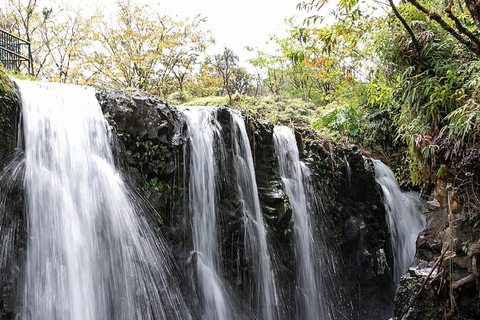 Maui Sea Turtles & Waterfalls: Full-Day Road to Hana Tour