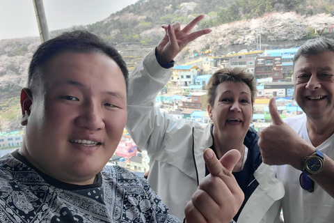 Busan: Private Shore Excursion with Licensed Local Guide