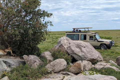 Arusha: safari di 4 giorni a Tarangire, Serengeti e Ngorongoro