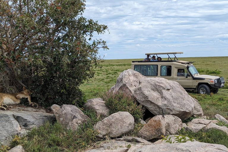 Arusha: safari di 4 giorni a Tarangire, Serengeti e Ngorongoro