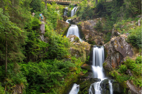 Zürich:privétour met de auto - Rijnwaterval, Titisee & Zwarte Woud